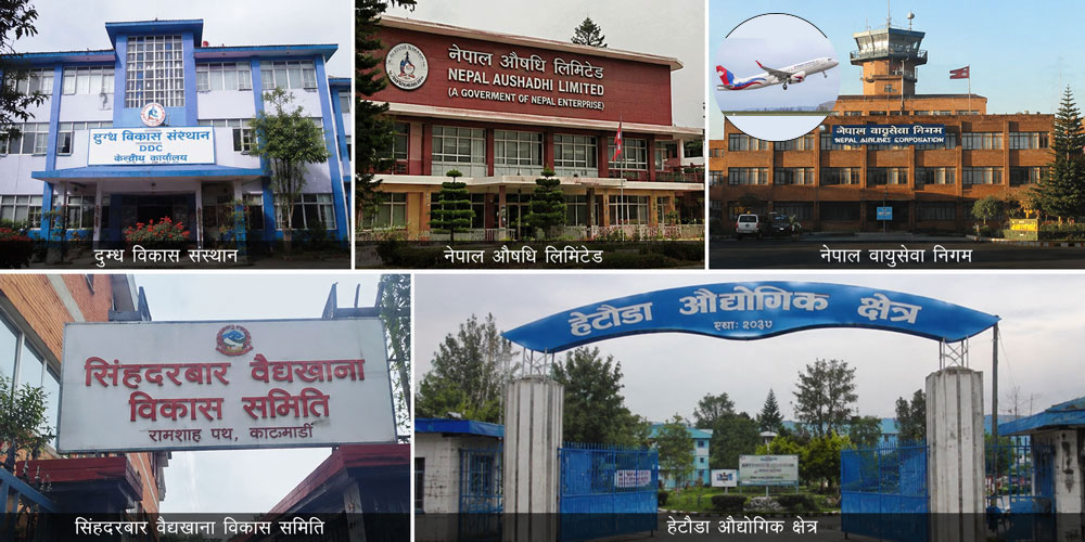 घाटामा डुबेका सरकारी उद्योगमा सुधारको संकेत, औषधिदेखि दुग्धसम्म नाफातर्फ